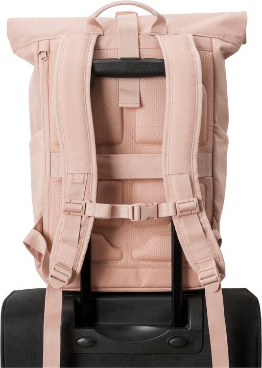 Actual product image Johnny Urban Allen (18.50 l)