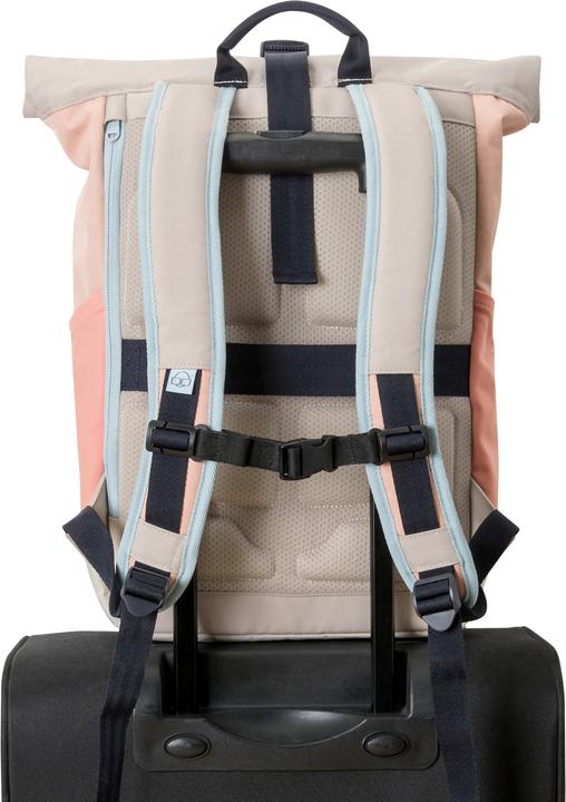 Actual product image Johnny Urban Allen (18.50 l)