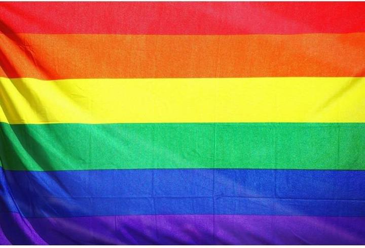 Immagine prodotto Orgoglio - Bandiera Media Lgbt