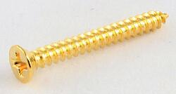 Immagine prodotto AllParts AP GS 0008-002 Viti HB-Ring/8 gld 19 mm (Parti di ricambio per strumenti)