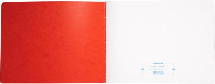 Actual product image Exacompta Business books (25 x 32 cm, Checked, Hardcover)