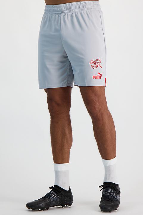Actual product image Puma SFV Shorts Replica (XL)