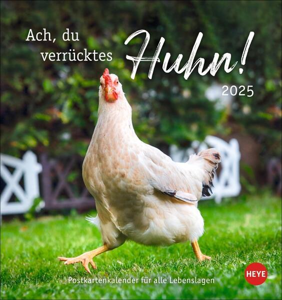 Produktbild Hühner Postkartenkalender 2025 - Ach, d (16 x 17 cm, Deutsch)