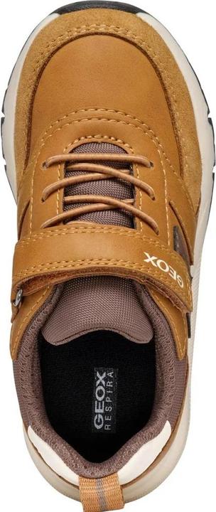Produktbild Geox Jungen Sneaker Rooner (31.5)