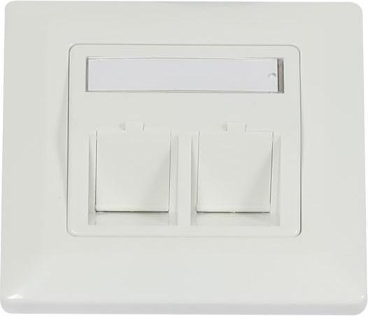Actual product image Synergy 21 Keystone, module support, flush-mounted boxes for 2xTP module, pure white, angular outer frame