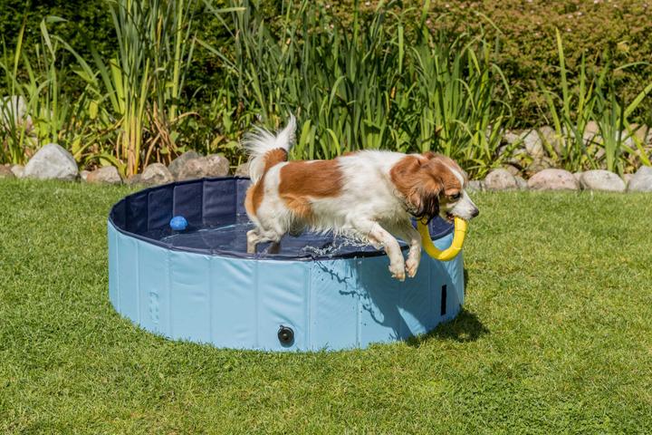 Immagine prodotto Trixie Piscina per cani (Piscina per cani)