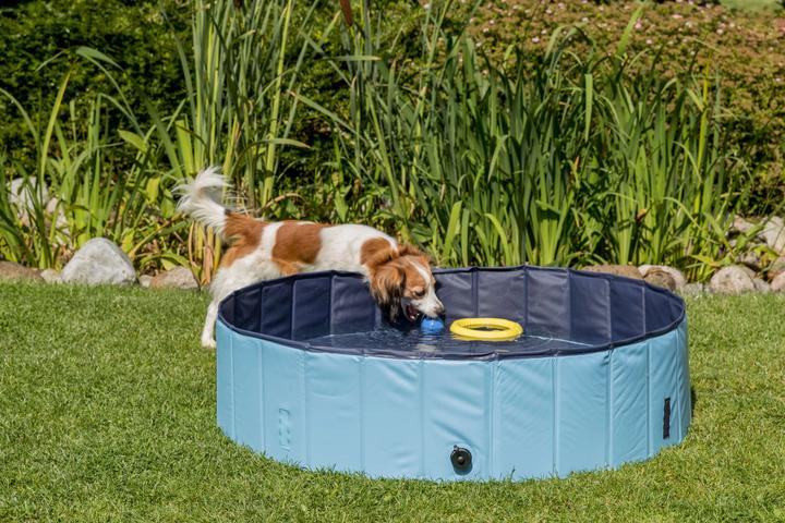 Immagine prodotto Trixie Piscina per cani (Piscina per cani)