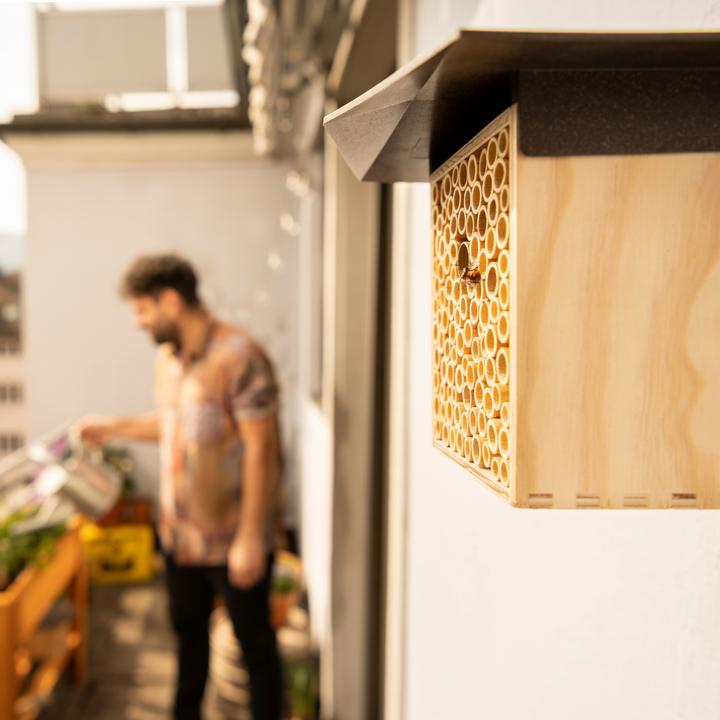 Actual product image Wildbiene BeeHome One (Wild bees)