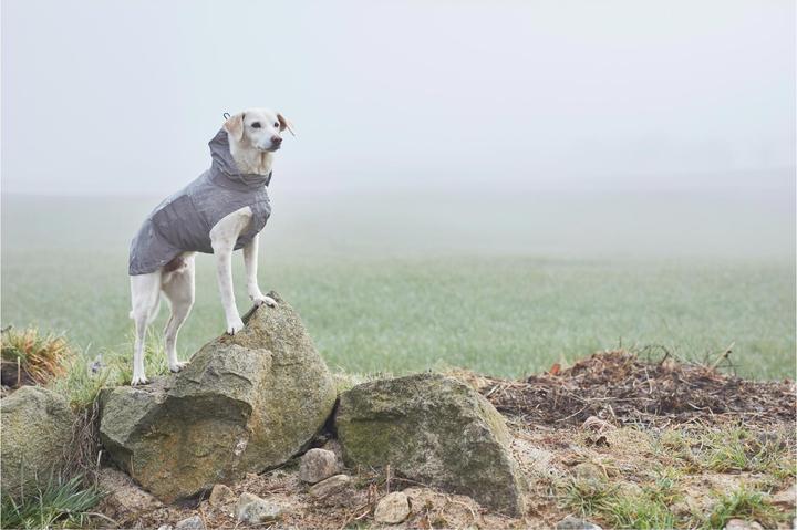 Produktbild Cloud 7 Hunderegenmantel Berlin (2, Hundemantel)