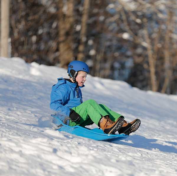 Actual product image hamax Sno Glider