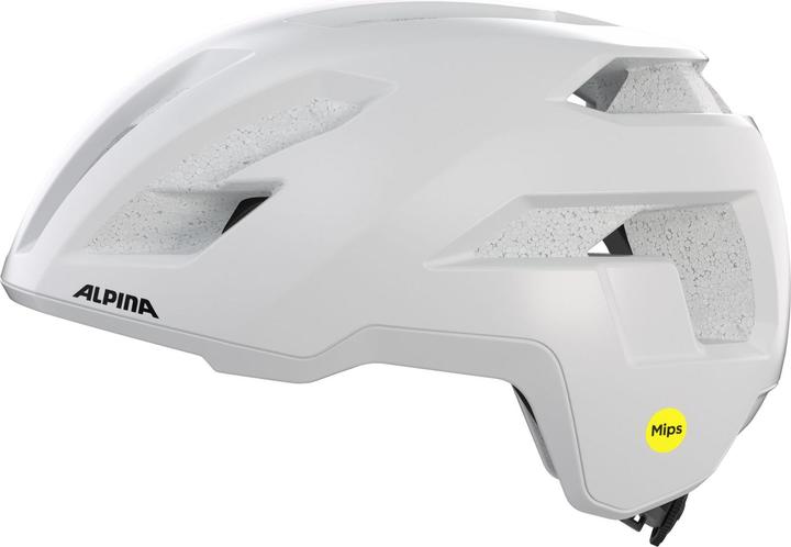 Image du produit ALPINA SPORTS Taunus Gravel Mips (52 - 56 cm)