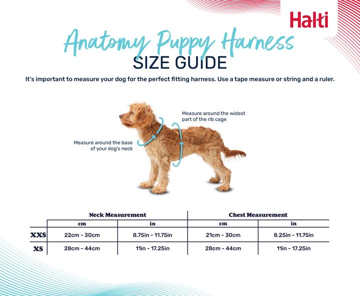 Produktbild Company of Animals Halti Anatomy XXS Welpengeschirr (XXS, Hund)