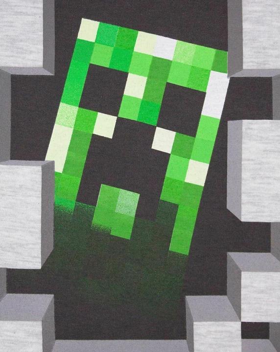 Actual product image Minecraft Tshirt (104)