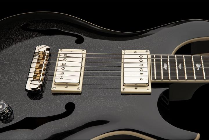 Actual product image PRS SE Hollowbody Standard | Dog Hair Smokeburst (Electric guitar, Mahogany, mahogany)