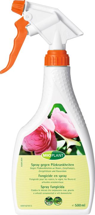 Mioplant Spray gegen Pilzkrankheiten (Pilze)