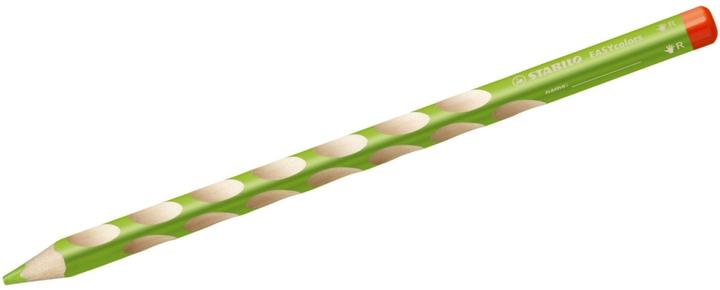 Produktbild STABILO EASY COLORS - Farbstifte (Grün, 1 x)