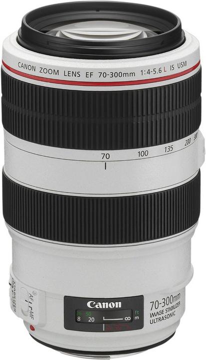 Canon EF 70-300mm f/4-5.6L IS USM (Canon EF, full size)