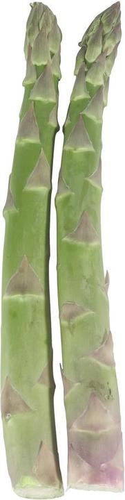 Produktbild Lubera Grünspargel VerteVite®
