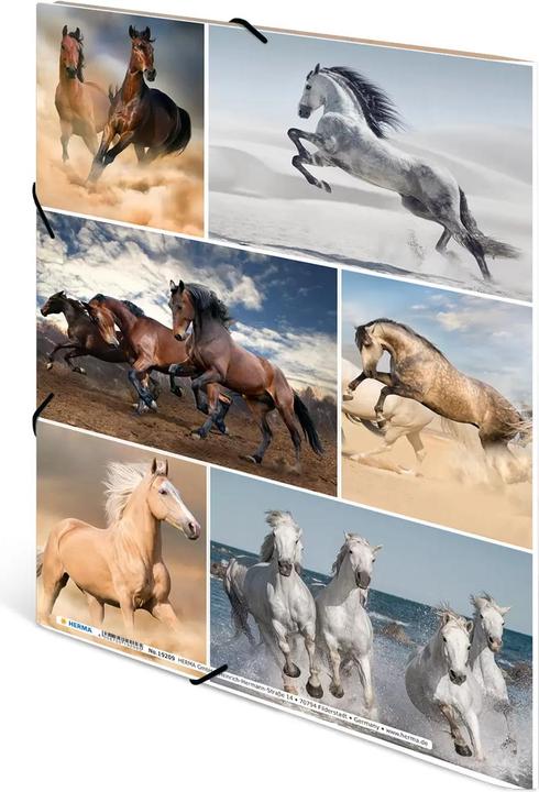 Actual product image Herma A4 motif folder (A4, 1 x)