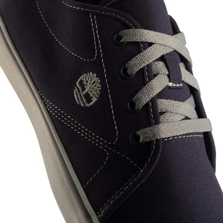 Immagine prodotto Timberland Skape Park Basic Scarpe Sportive Uomo (41)