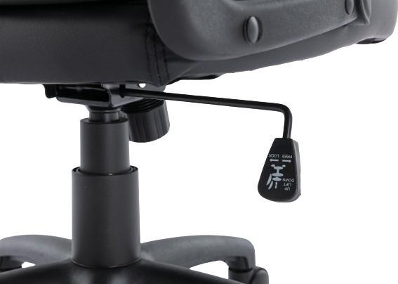 Actual product image Raptor Gaming Chair GS-40 PU + fabric /black