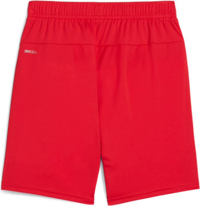 Immagine prodotto Puma Pantaloncini TeamGOAL Jr (M)