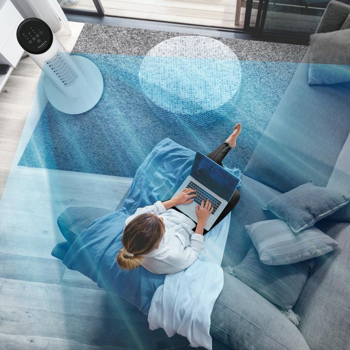 Image du produit Rowenta Eole Ultra VU6871F0 (52 dB)