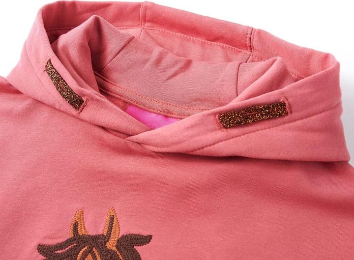 Produktbild VidaXL Kinder-Kapuzenpullover Altrosa 116,Material: 95 % Baumwolle (116)