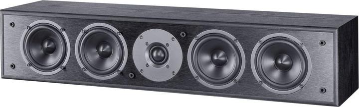 Magnat Monitor S14C (1 Stk., 100 W)