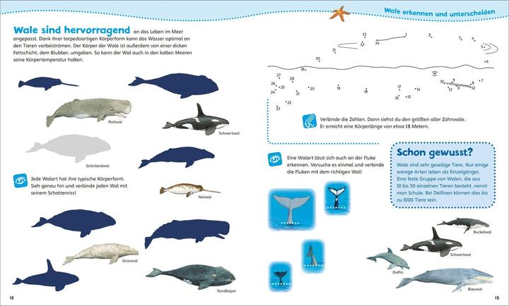 Actual product image Tessloff WAS IST WAS Junior activity booklet. Whales and dolphins. Games, puzzles, stickers