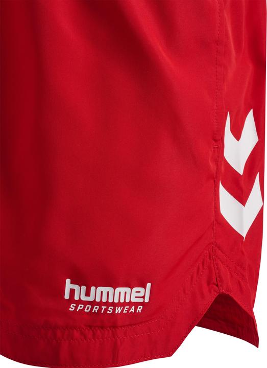 Produktbild hummel hmlLGC NED SWIM SHORTS (S)