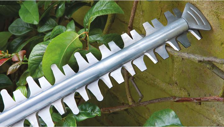 Actual product image Bosch Home & Garden AdvancedHedgeCut 65 (Electric hedge trimmer)
