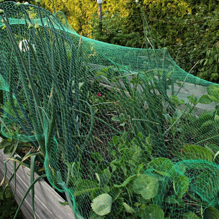 Produktbild Relaxdays 3x Vogelnetz
