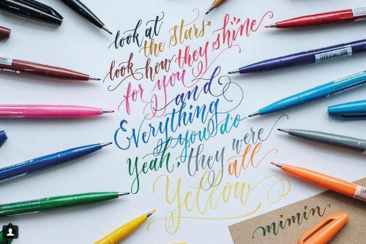 Immagine prodotto Pentel Penna segno pennello, penna in fibra (Multicolore, 1 x)