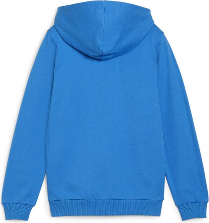 Produktbild Puma teamGOAL Casuals Hooded Jacket Jr (164)