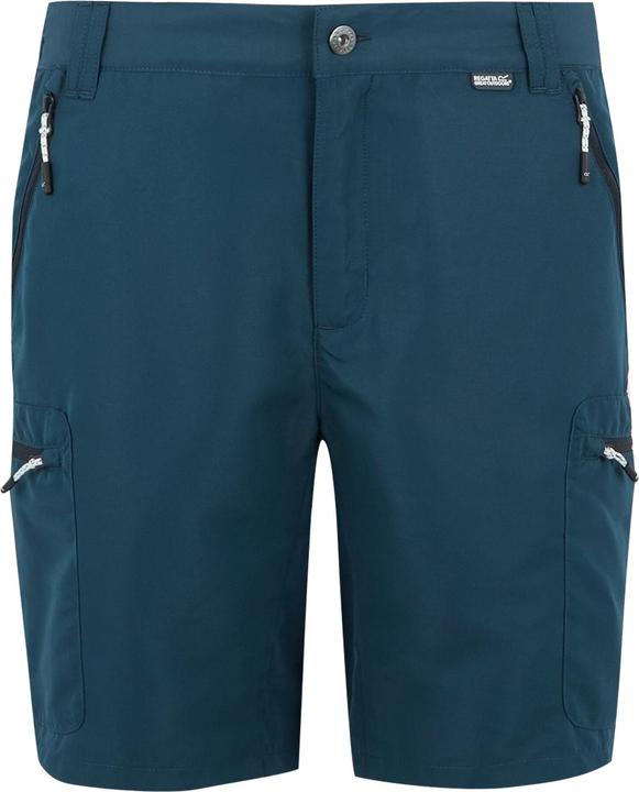 Regatta Leesville III Shorts