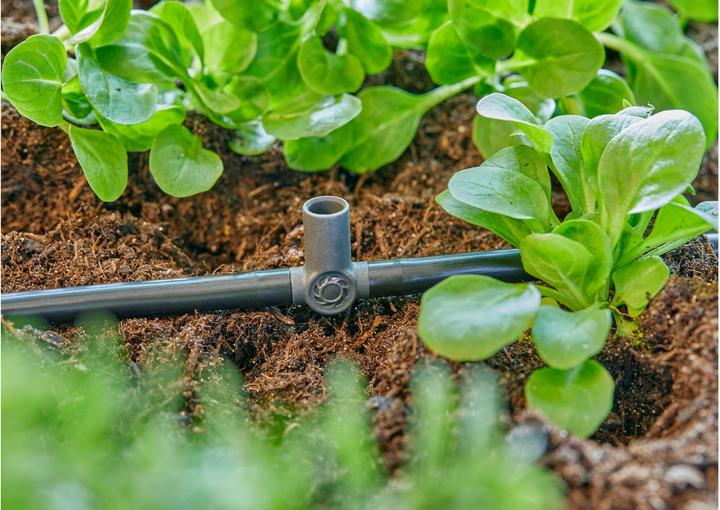 Actual product image Gardena Micro-Drip-System T-piece for spray nozzles (Drip irrigation connector + branch)