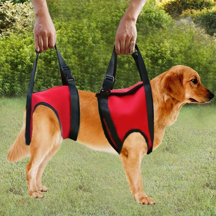 Actual product image Filfeel Hunde-Tragehilfe für Vorderbeine (M, Dog)