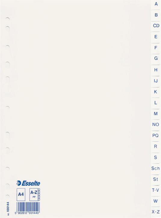 Esselte Plastikregister Economy
