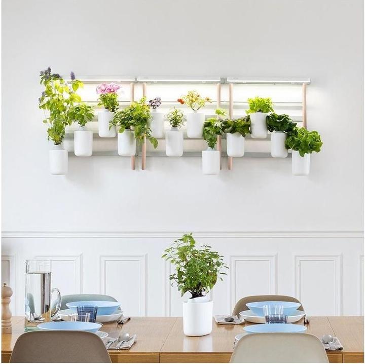 Produktbild Prêt à Pousser Modulo 2 (30.50 cm)