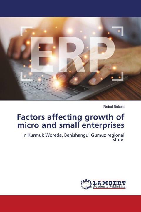 Actual product image Factors affecting growth of micro and small enterprises (Robel Bekele, 2023)