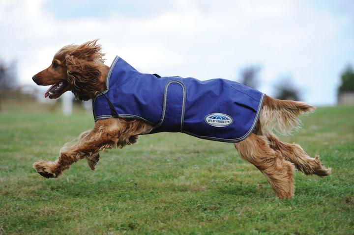 Actual product image Weatherbeeta Comfitec Premier Free Duo Deluxe Parka Dog Coat (45, Dog coat)