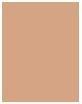 Actual product image Estée Lauder Double Wear Stay-In-Place (4W3 Henna)