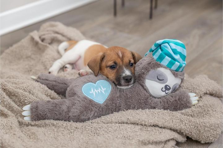 Image du produit Trixie Paresseux avec un battement de coeur (Jouet à mâcher pour chien)