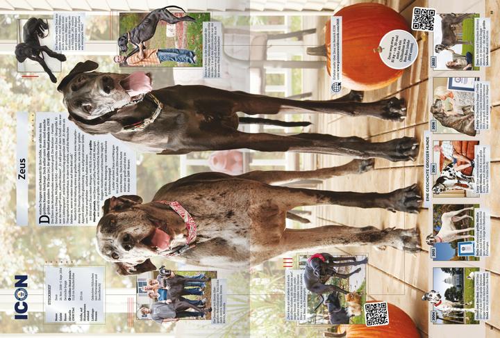 Image du produit Ravensburger Guinness World Records 2025 (Allemand, Guinness World Records Ltd., 2024)