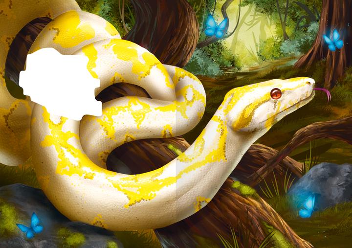 Actual product image Ravensburger Internat der bösen Tiere, Band 3: Die Reise (German, Gina Mayer, 2021)