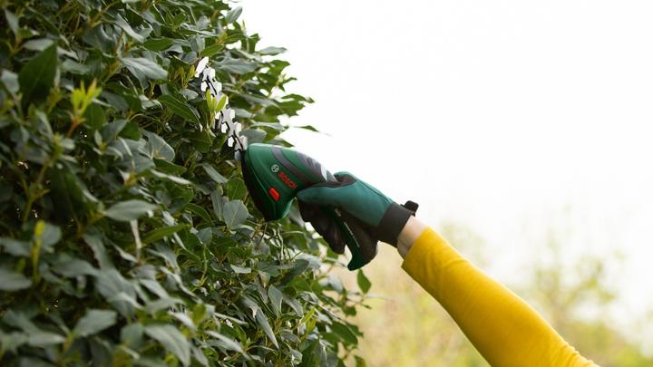 Produktbild Bosch Home & Garden Isio (Akkuheckenschere)