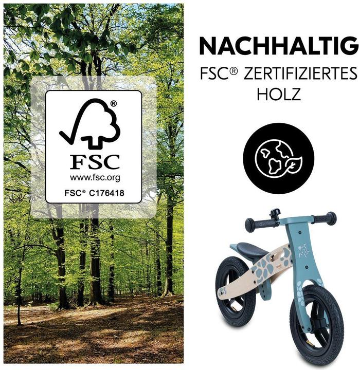 Immagine prodotto Hauck Balance N Ride Turtle (12")