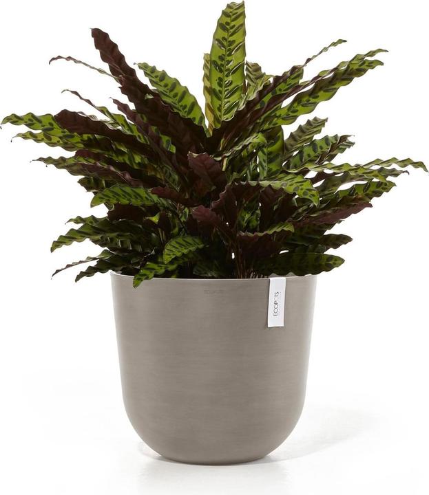 Produktbild Ecopots Oslo (45 cm)