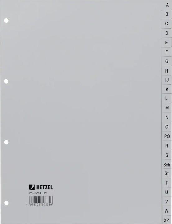 Rexel Plastic register for A4